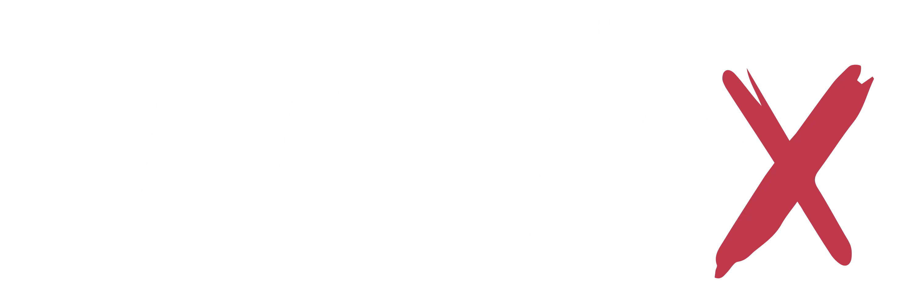 Logo da banda Ramona Rox