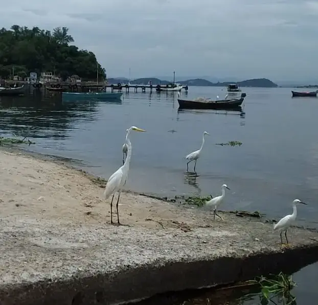 Associação Pesqueira